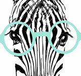 muursticker zebra detail