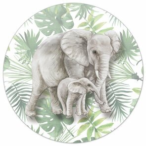 Muurcirkel jungle olifanten