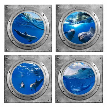 Muursticker Patrijspoorten Dolfijnen - Onderwaterkamer